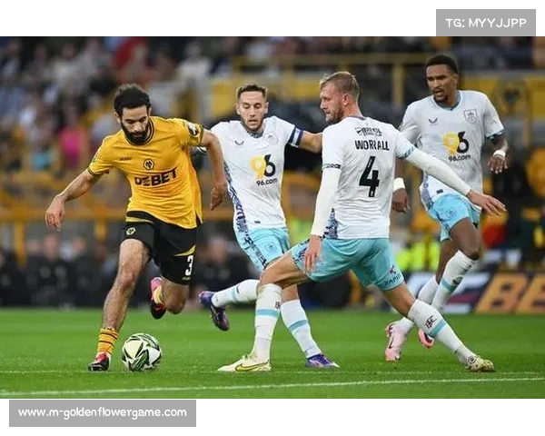 英超中资球队狼队森林商业收入同比增长23%推动俱乐部发展潜力提升